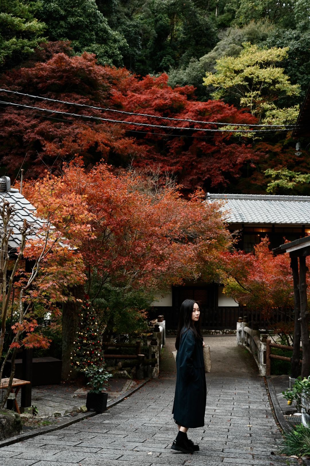 Osaka-Osaka Minoh Park, 🎄the beautiful scenery along the way is a feast for the eyes