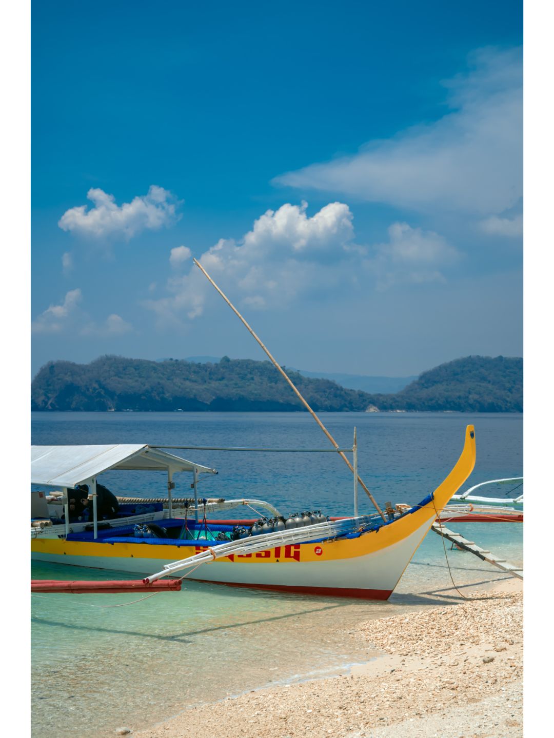 Manila/Luzon-Diving at Anilao Island in the Philippines, 🌊the southernmost tip of Luzon Island