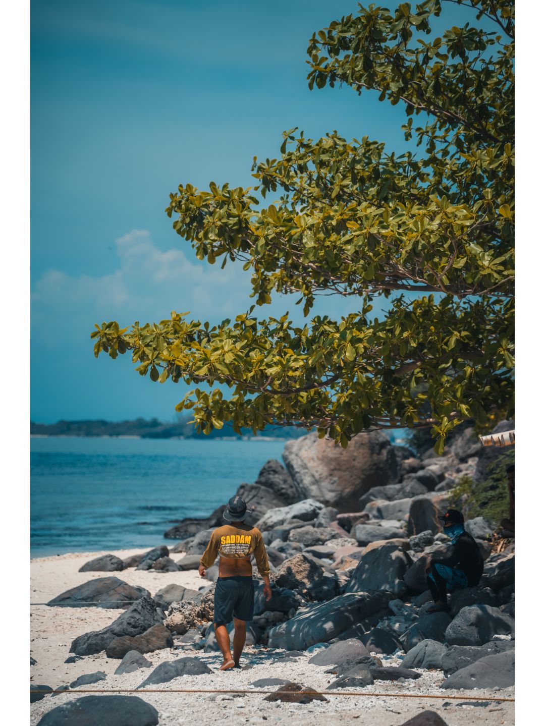 Manila/Luzon-Diving at Anilao Island in the Philippines, 🌊the southernmost tip of Luzon Island