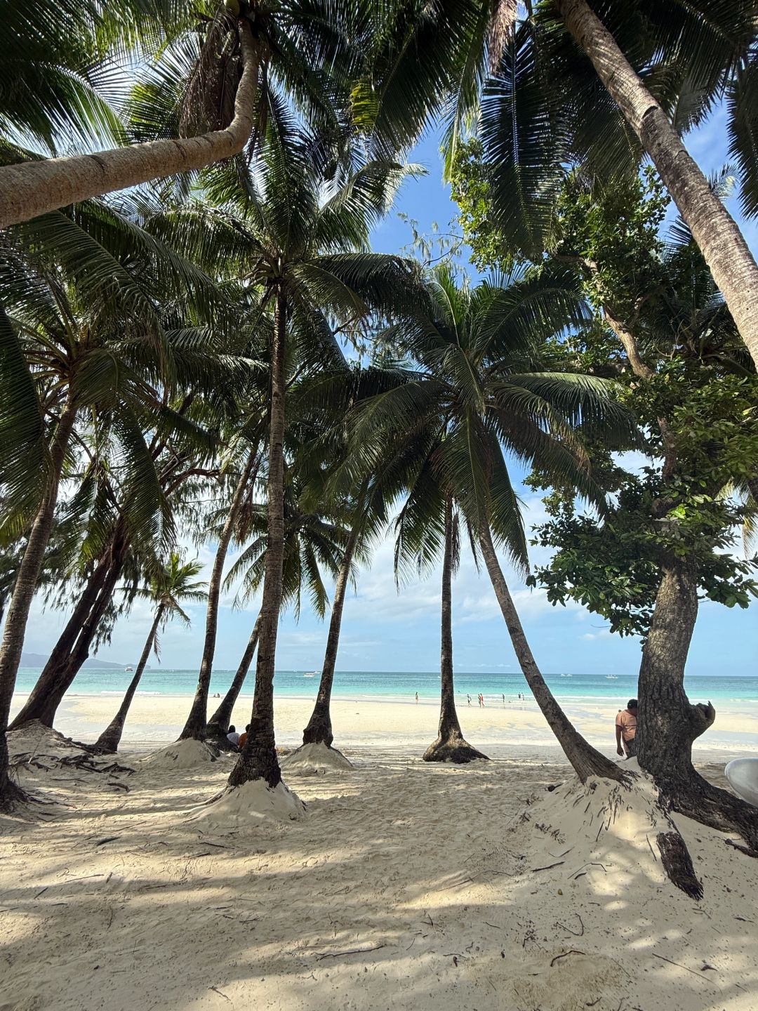 Boracay-Boracay travel notes. Take a transparent boat to the sea, taste seafood, and build sand castles