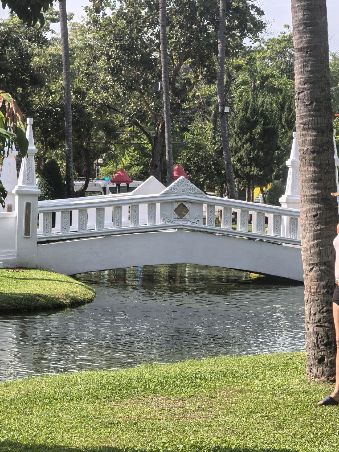 Chiang Mai-Chiang Mai Park, feel the coolness of Thailand's summer and the rainbow formed by the fountain