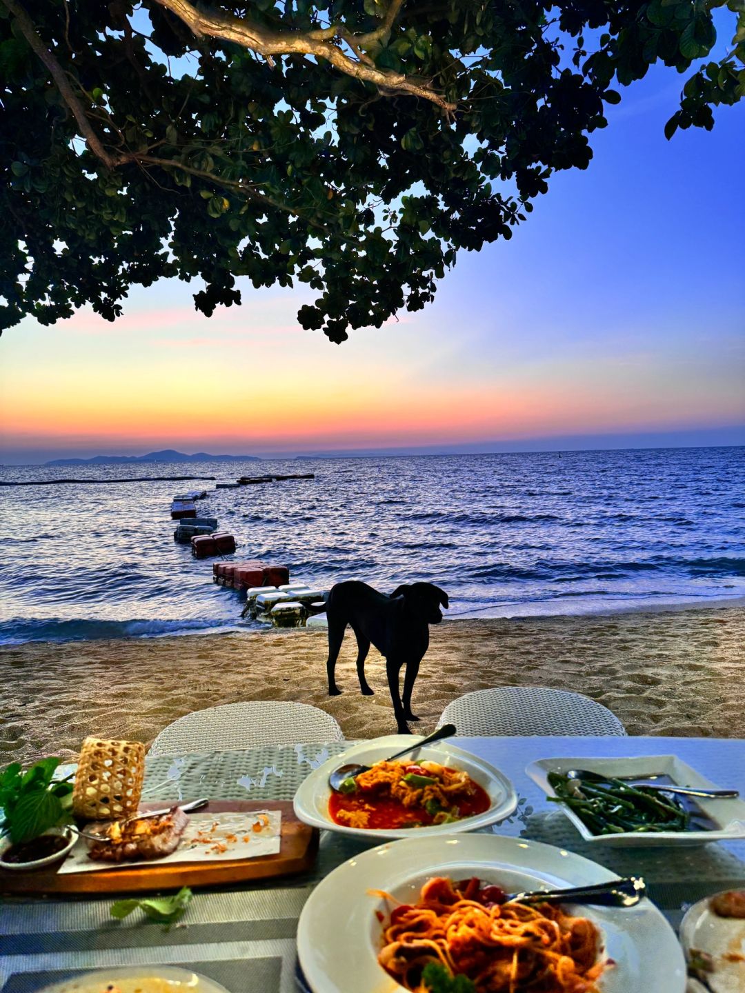 Pattaya-Surf & Turf Beach Club & Restaurant Pattaya, Beach cradle under the trees facing the sea