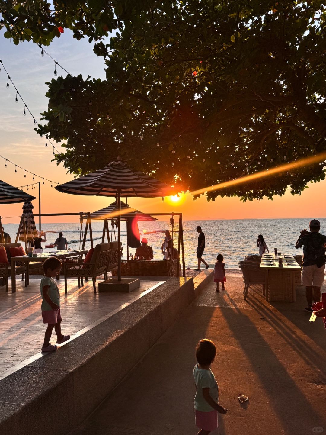 Pattaya-Surf & Turf Beach Club & Restaurant Pattaya, Beach cradle under the trees facing the sea