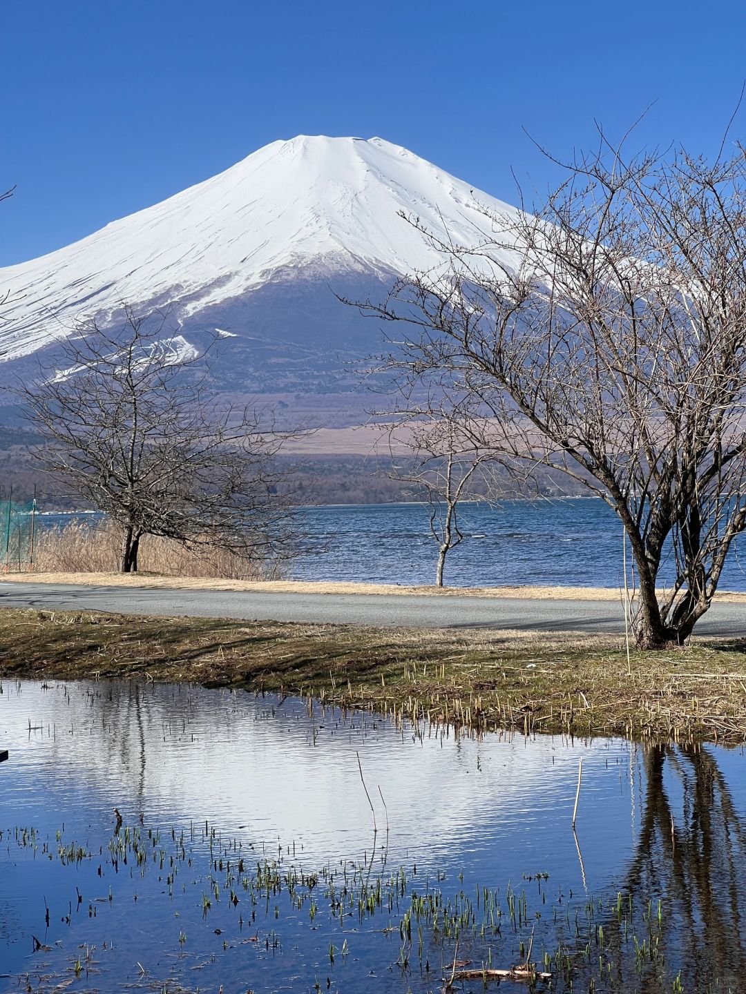 Tokyo-Mount Fuji from different perspectives, Japan's highest peak and one of the largest active volcanoes