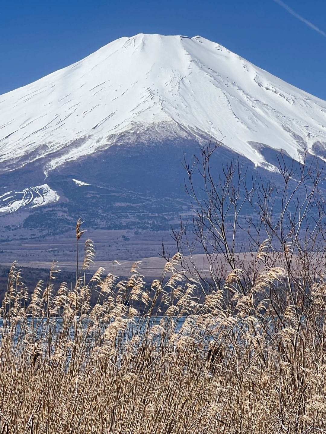 Tokyo-Mount Fuji from different perspectives, Japan's highest peak and one of the largest active volcanoes