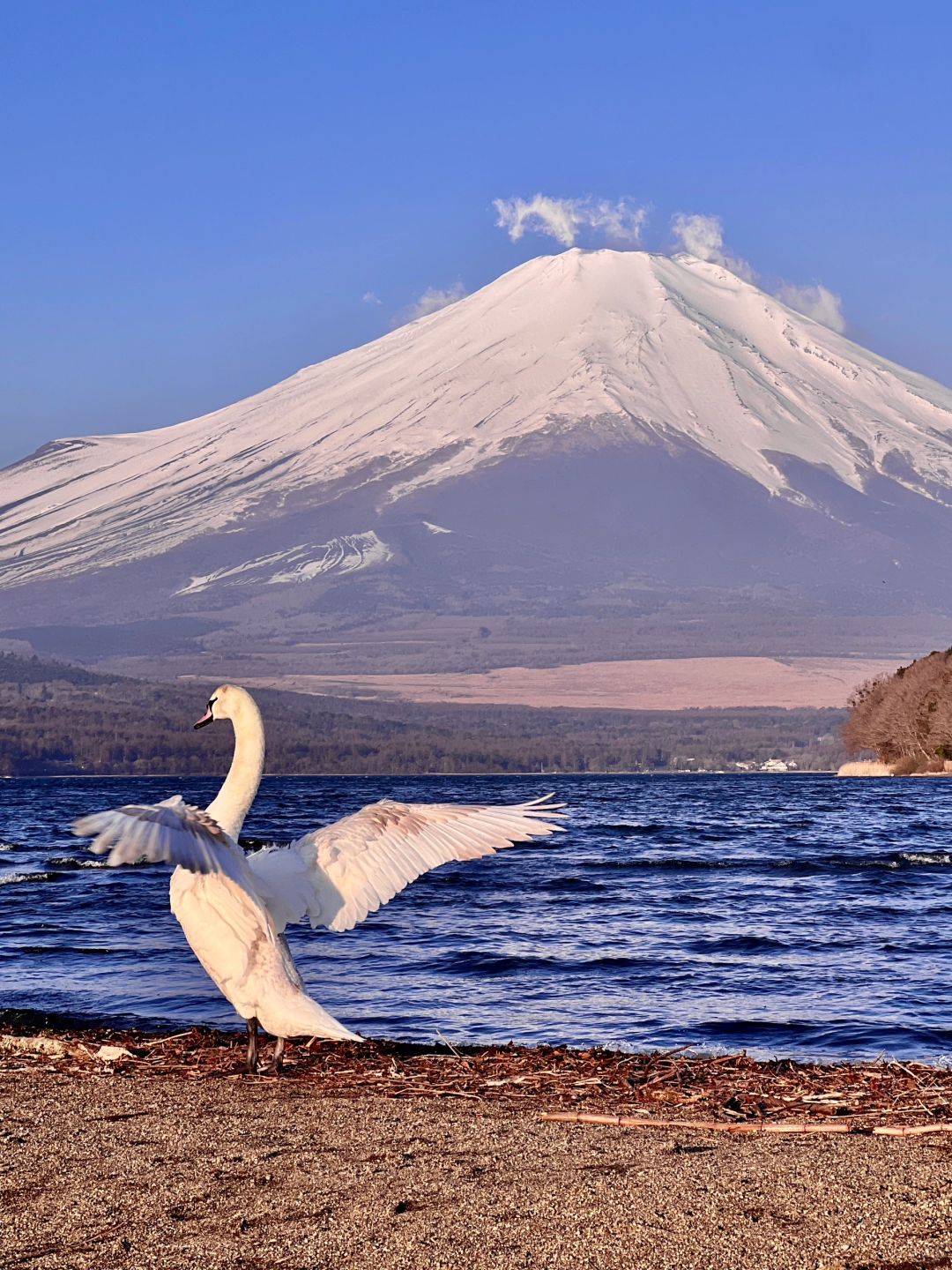 Tokyo-Mount Fuji from different perspectives, Japan's highest peak and one of the largest active volcanoes