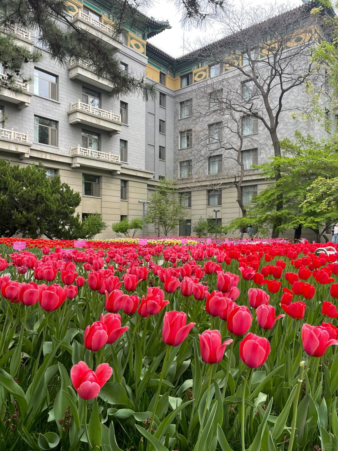 Beijing/Tianjin-Beijing Friendship Hotel is unusually quiet inside, and the pace of life instantly slows down!