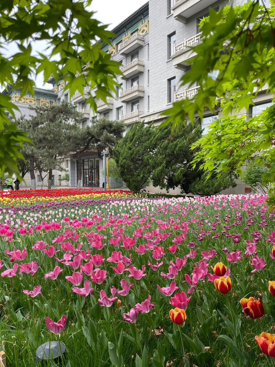 Beijing/Tianjin-Beijing Friendship Hotel is unusually quiet inside, and the pace of life instantly slows down!