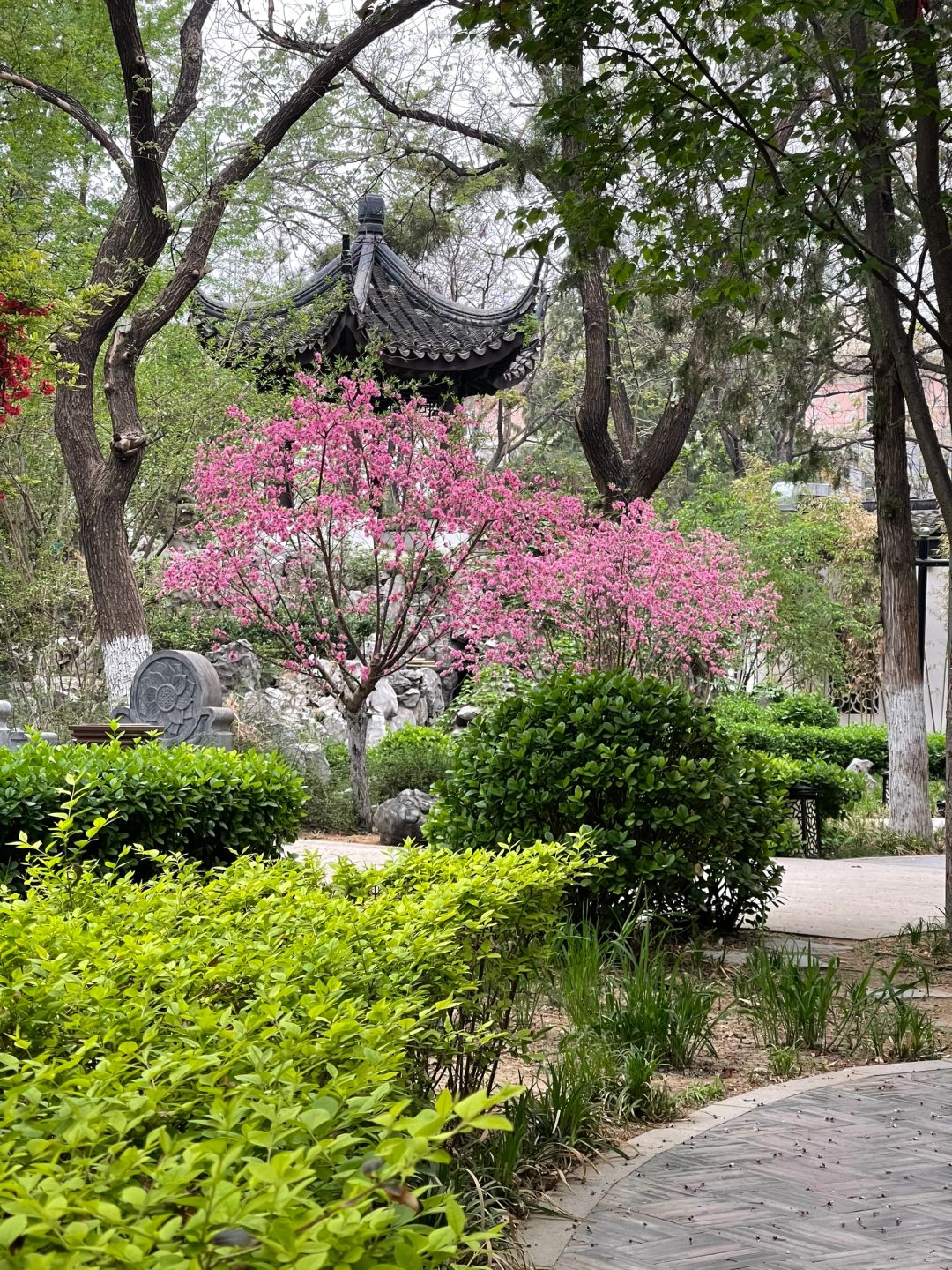 Beijing/Tianjin-Beijing Friendship Hotel is unusually quiet inside, and the pace of life instantly slows down!