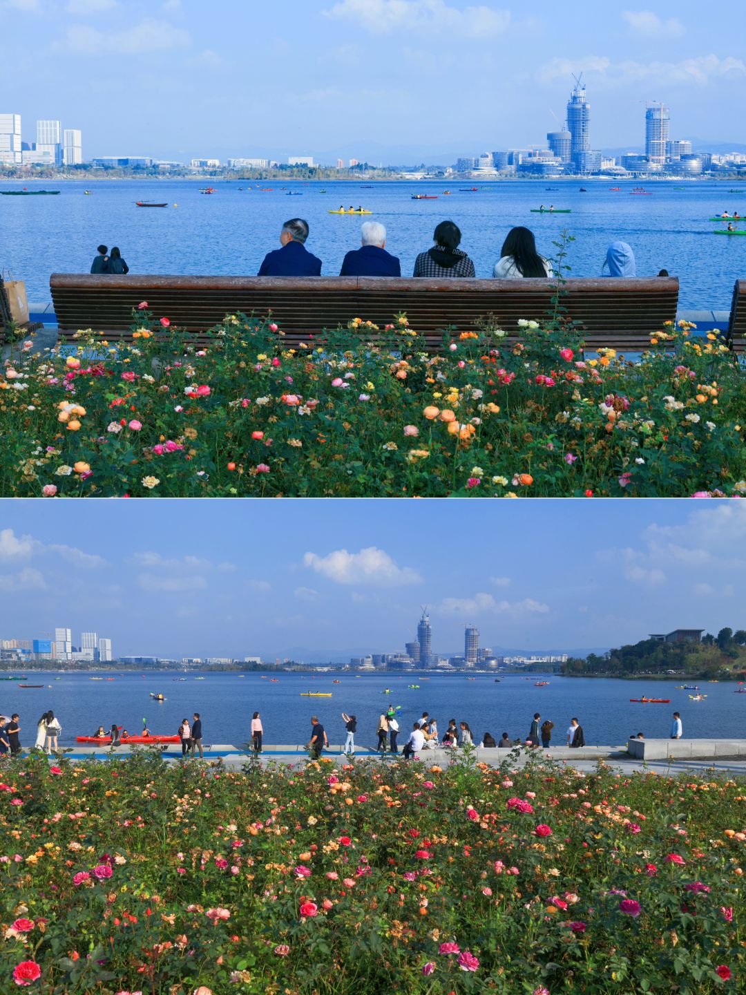 Chengdu/Chongqing-Xinglong Lake Park in Chengdu has beautiful greenways and scenic views along the way!