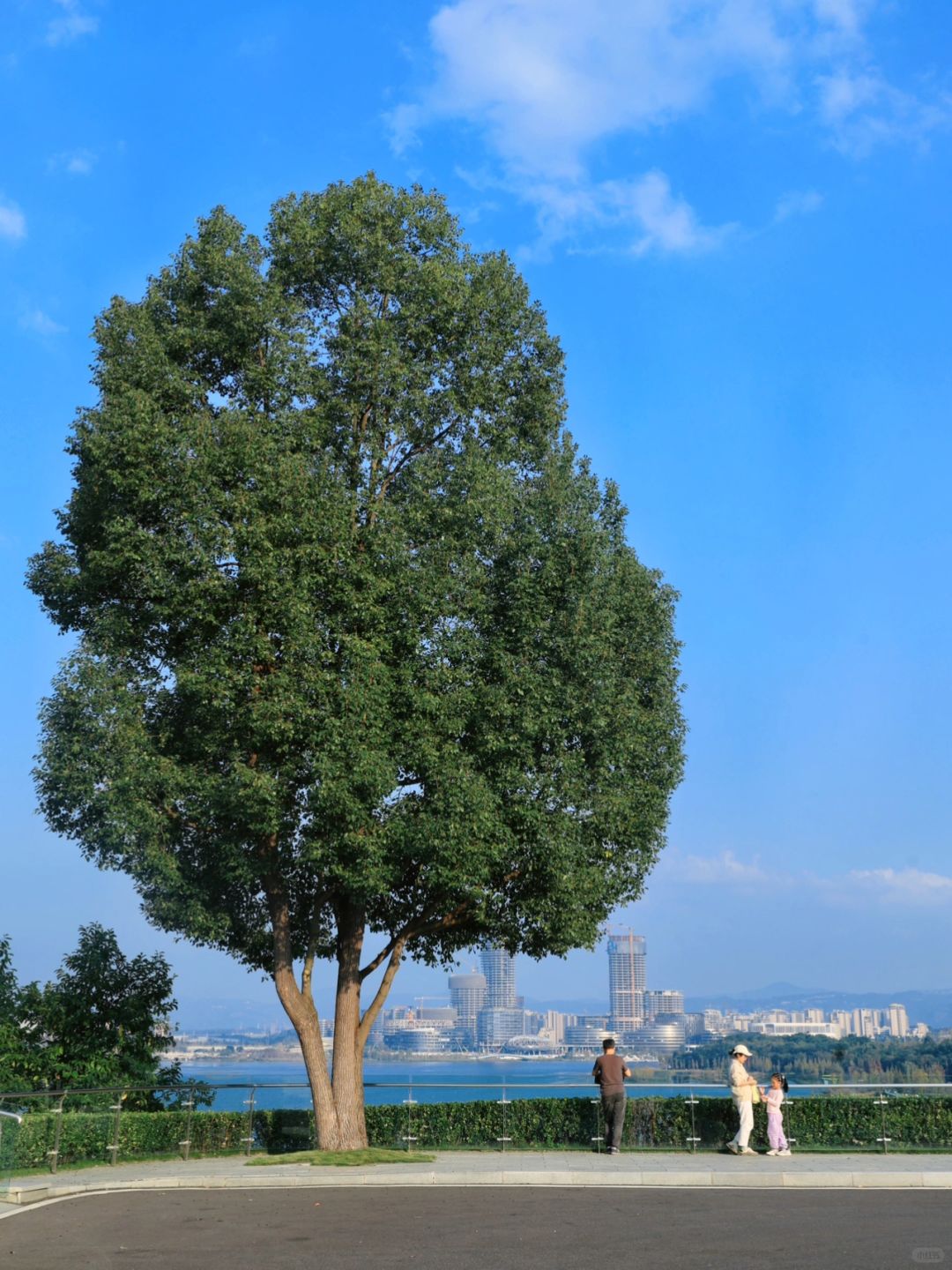 Chengdu/Chongqing-Xinglong Lake Park in Chengdu has beautiful greenways and scenic views along the way!