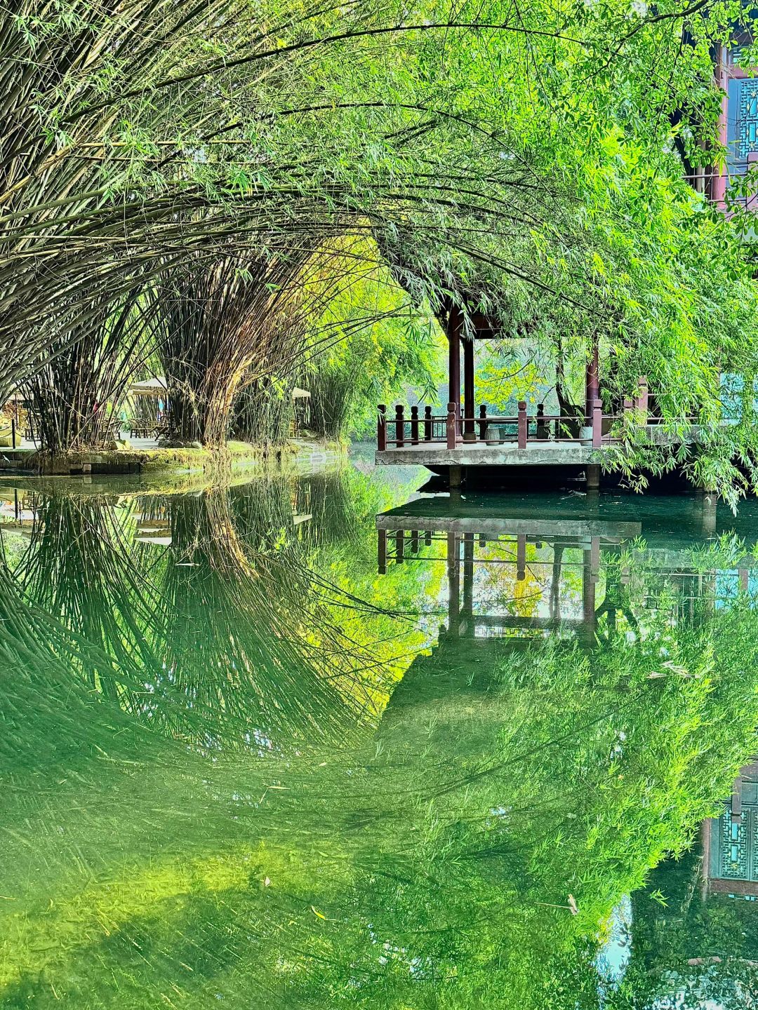 Chengdu/Chongqing-Chengdu Tanghu Park is perfect for weekend walks and relaxation!