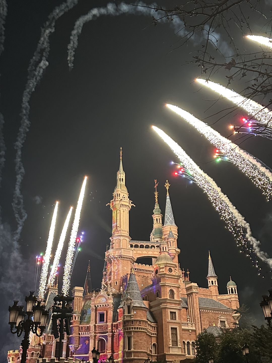 Shanghai/Hangzhou-Shanghai Disneyland is very crowded, and I have been queuing up!