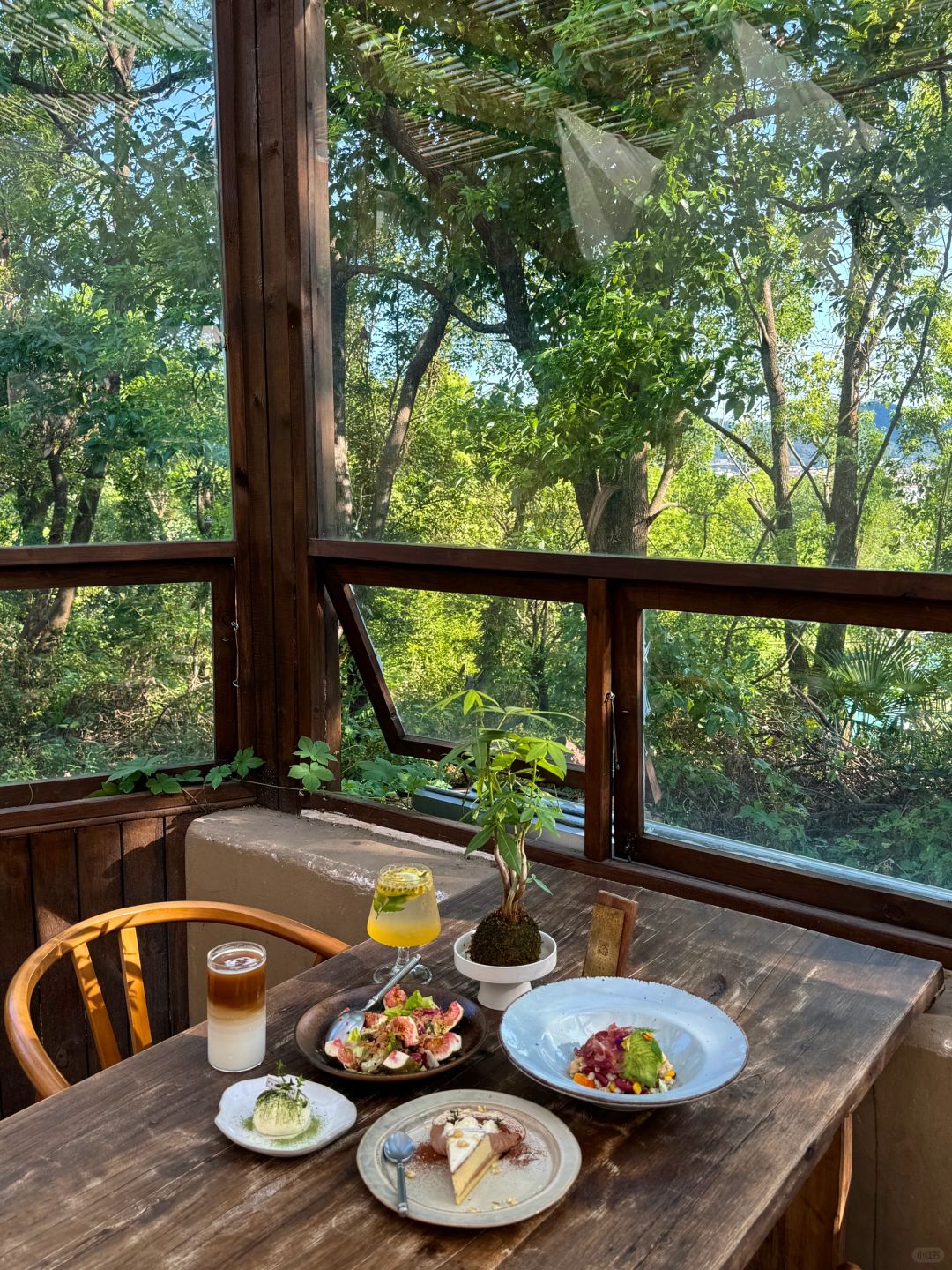 Changsha-In the caf é in Changsha, there is a large forest outside the window!