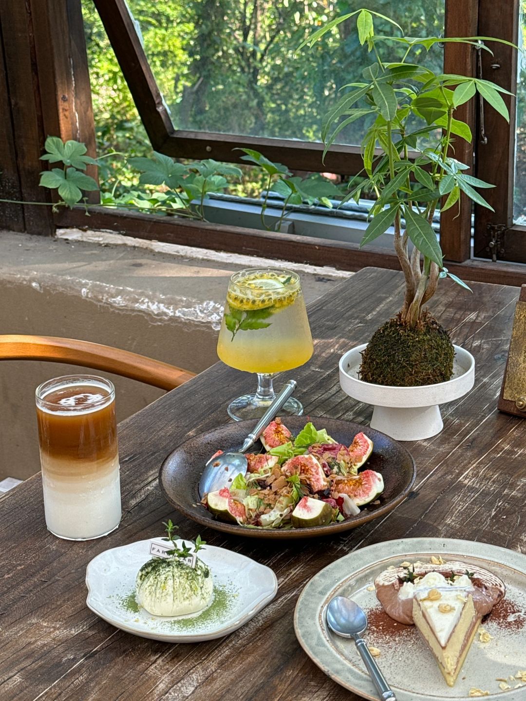 Changsha-In the caf é in Changsha, there is a large forest outside the window!