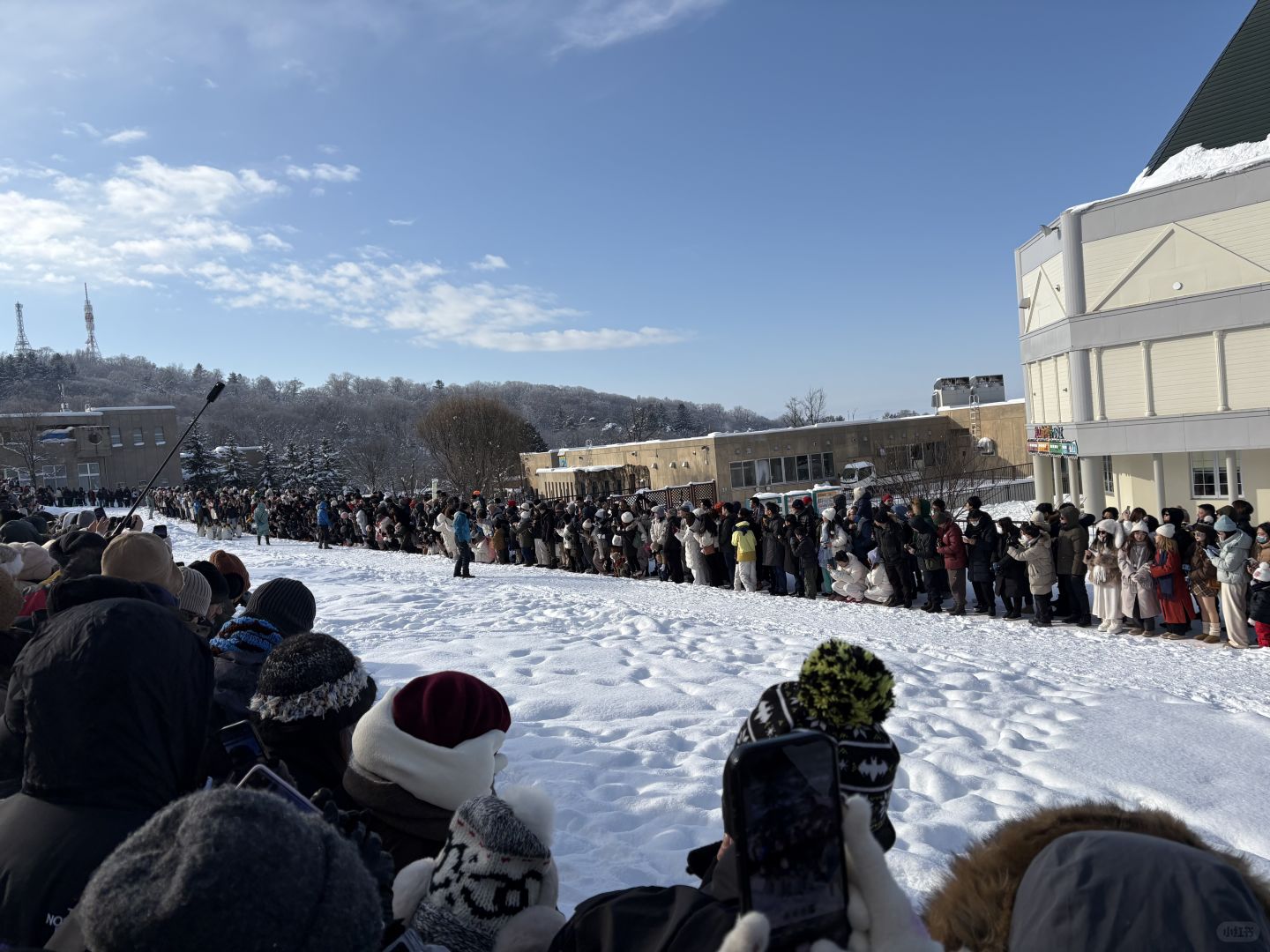 Sapporo/Hokkaido-Asahikawa Zoo｜First row to shoot penguins🐧 (no waiting + full guide)