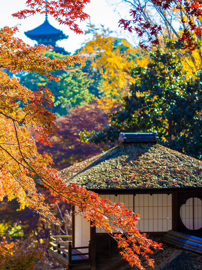 Tokyo-If I could only go to Japan once, I would choose Yokohama! What a grea