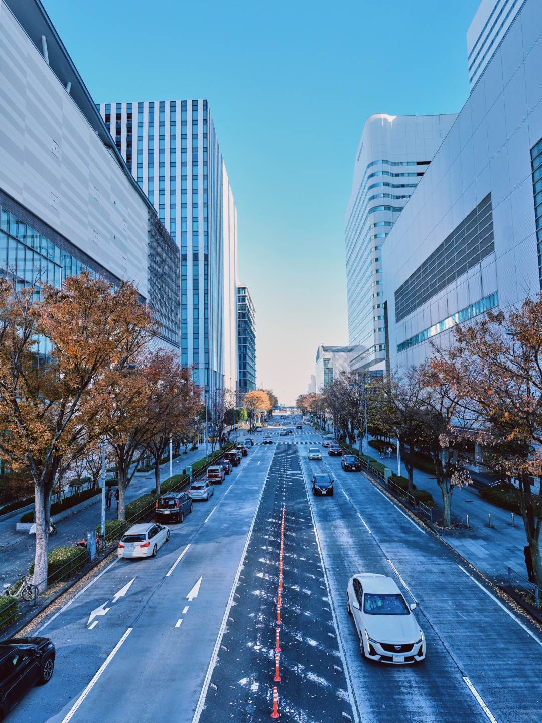 Tokyo-I thought Tokyo was beautiful until I arrived at Yokohama Mirai Port