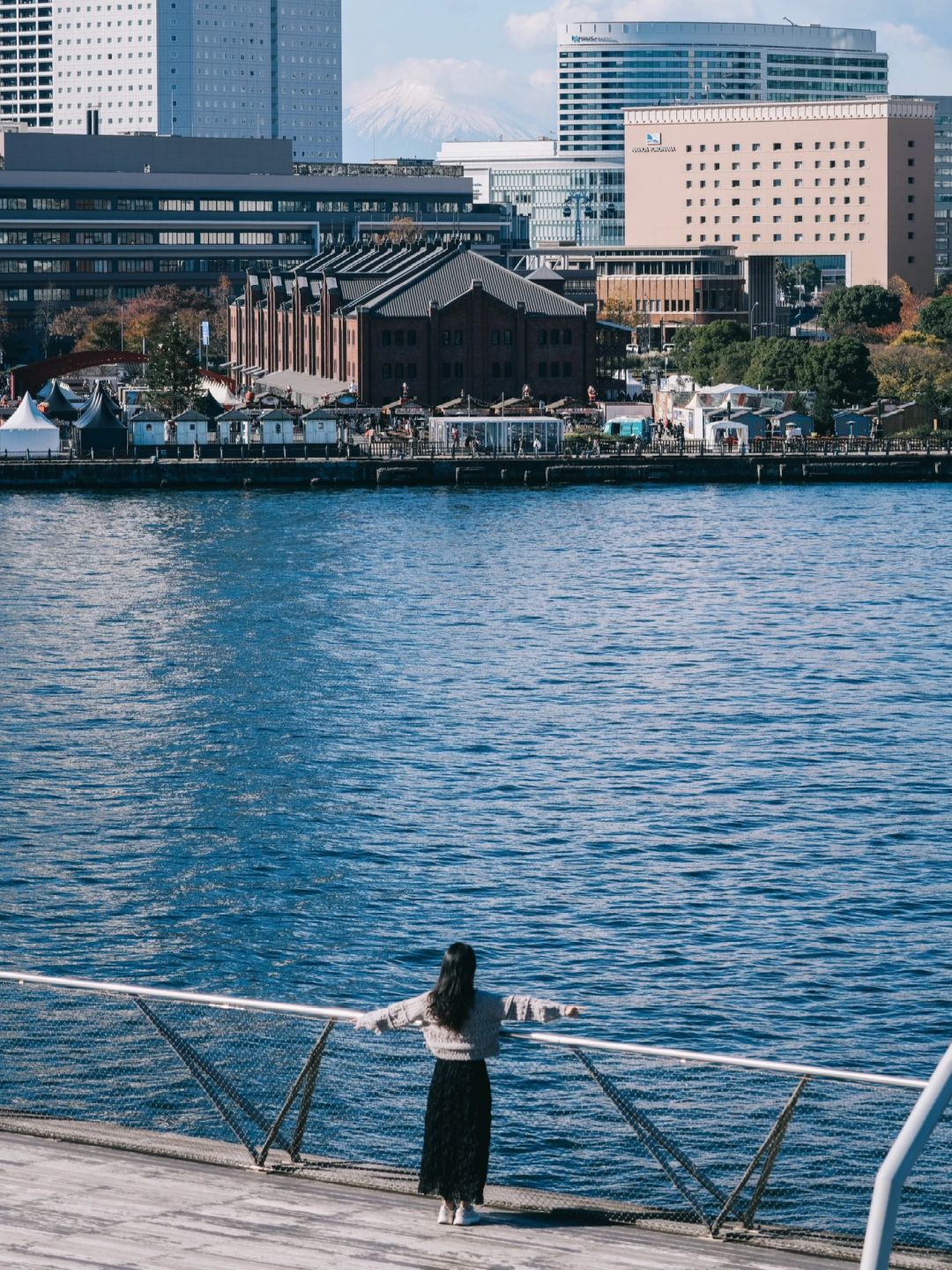 Tokyo-Yokohama, Japan: Great stamina, a one-day citywalk tour