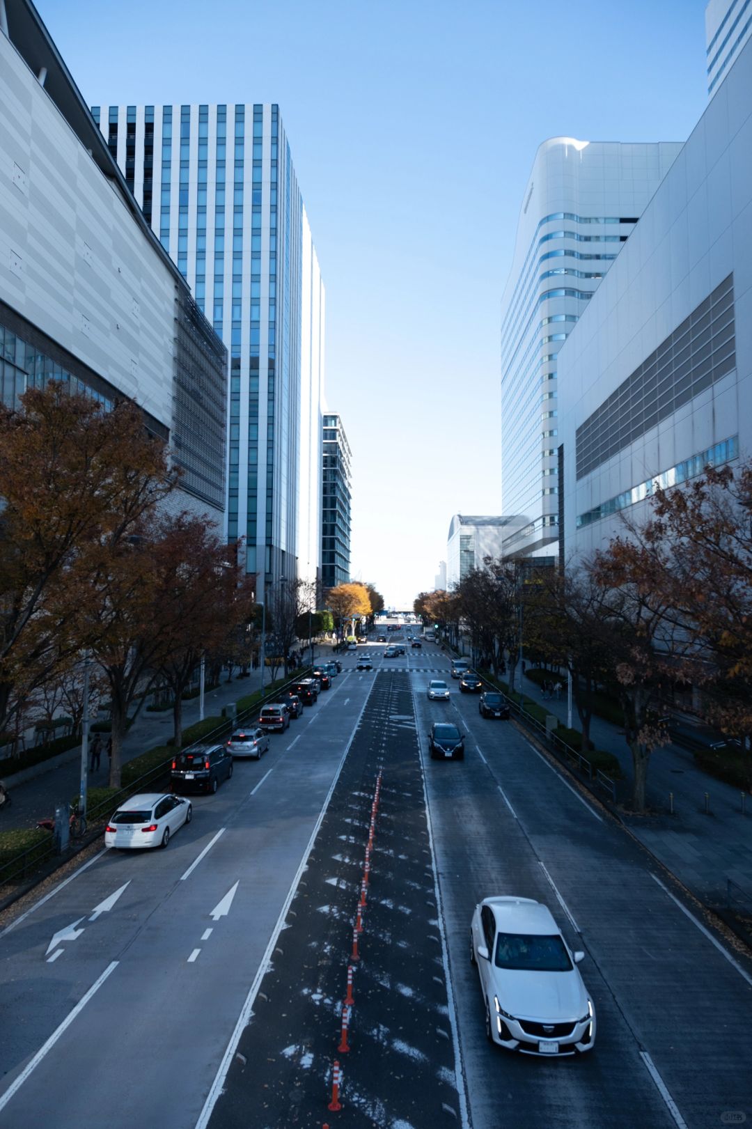 Tokyo-Yokohama, Japan: Great stamina, a one-day citywalk tour