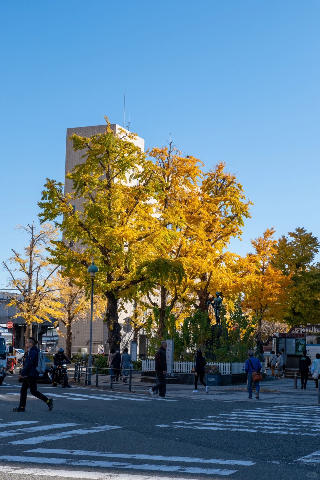 Tokyo-Yokohama, Japan: Great stamina, a one-day citywalk tour