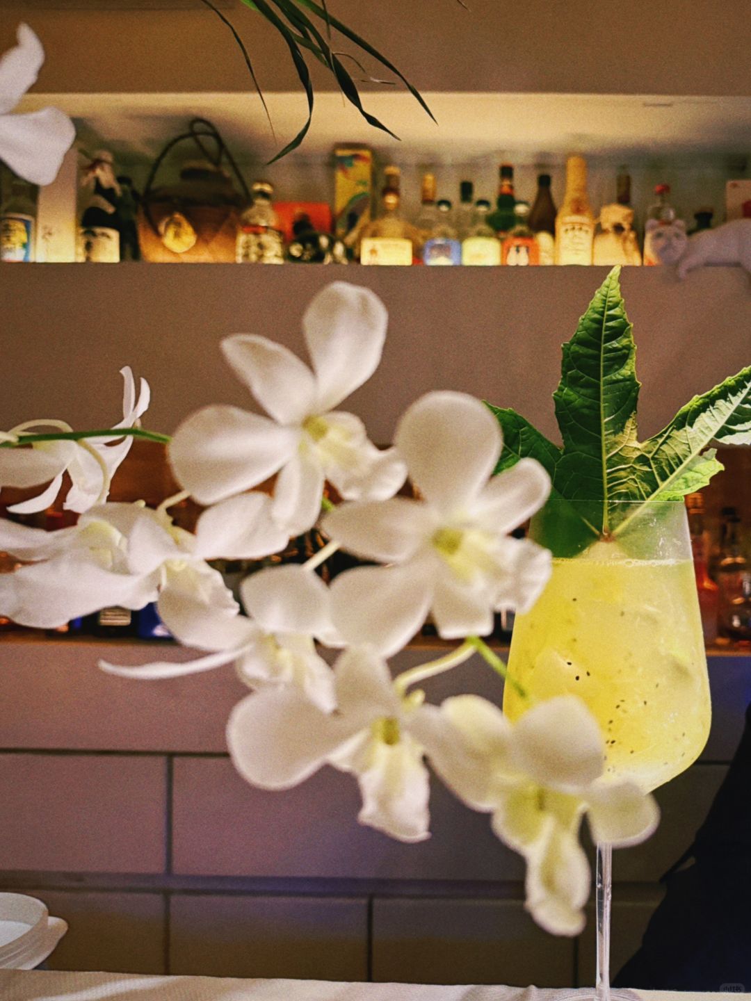 Okinawa-BAR Owl バーアウル: pineapple + kiwi,cocktail giving a strong visual shock