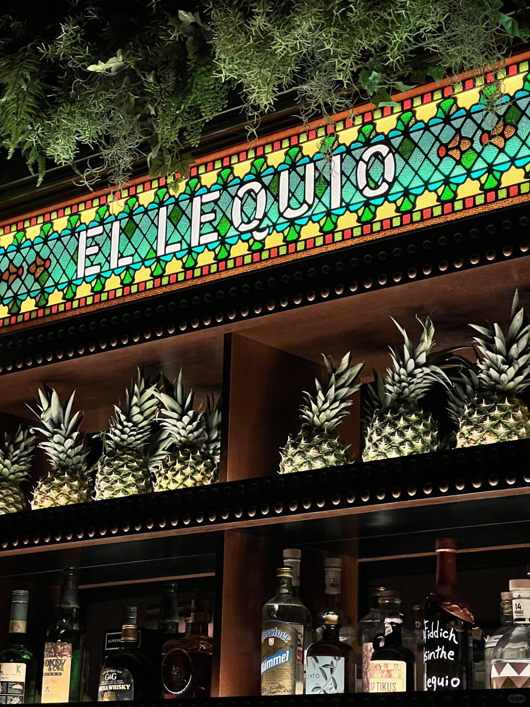 Okinawa-Okinawa El Lequio:Flavor Extravaganza