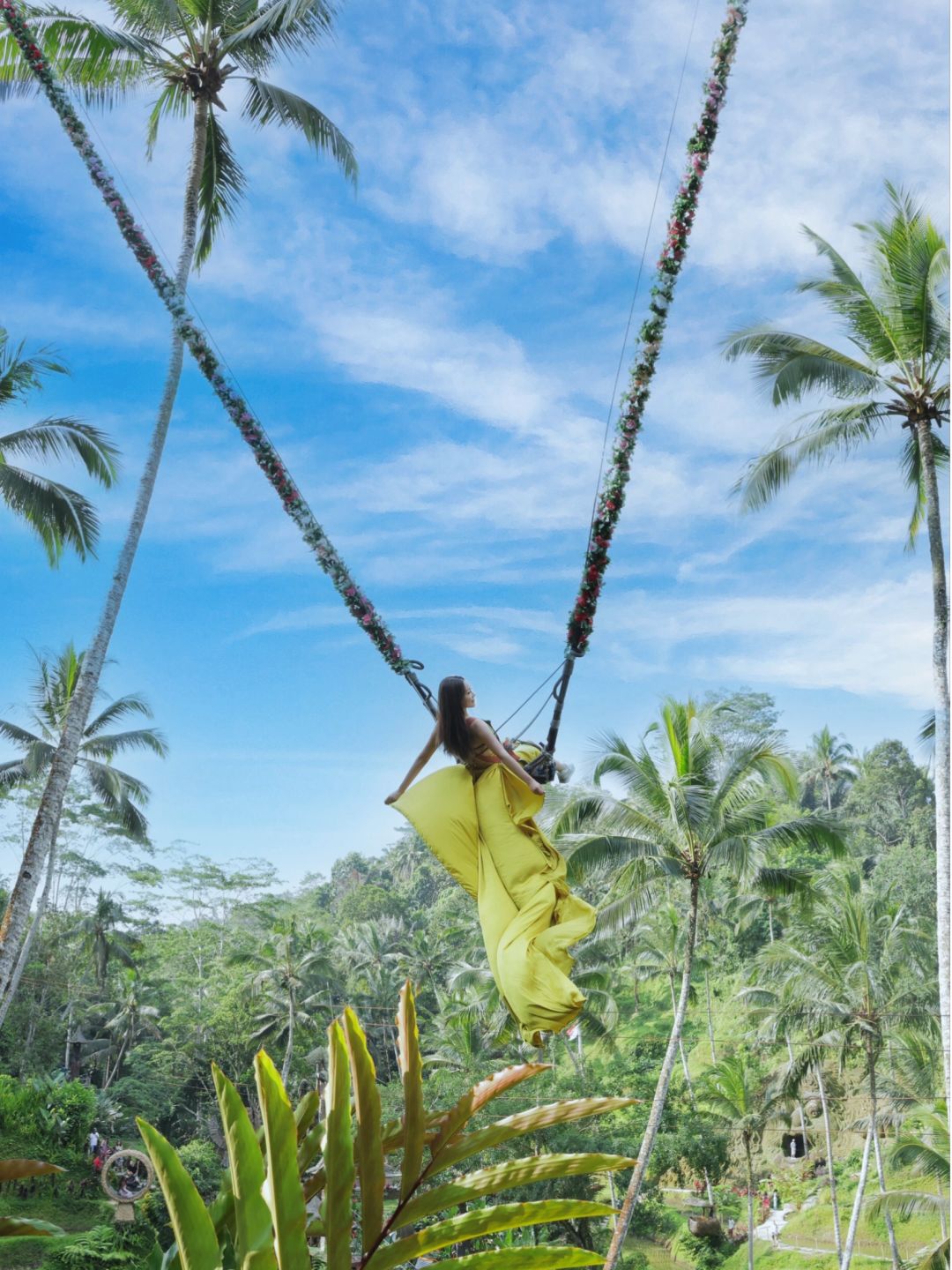 Bali-Visit Alas Harum Rainforest Swing, Zipline and Outdoor Swimming Pool in Ubud, Bali