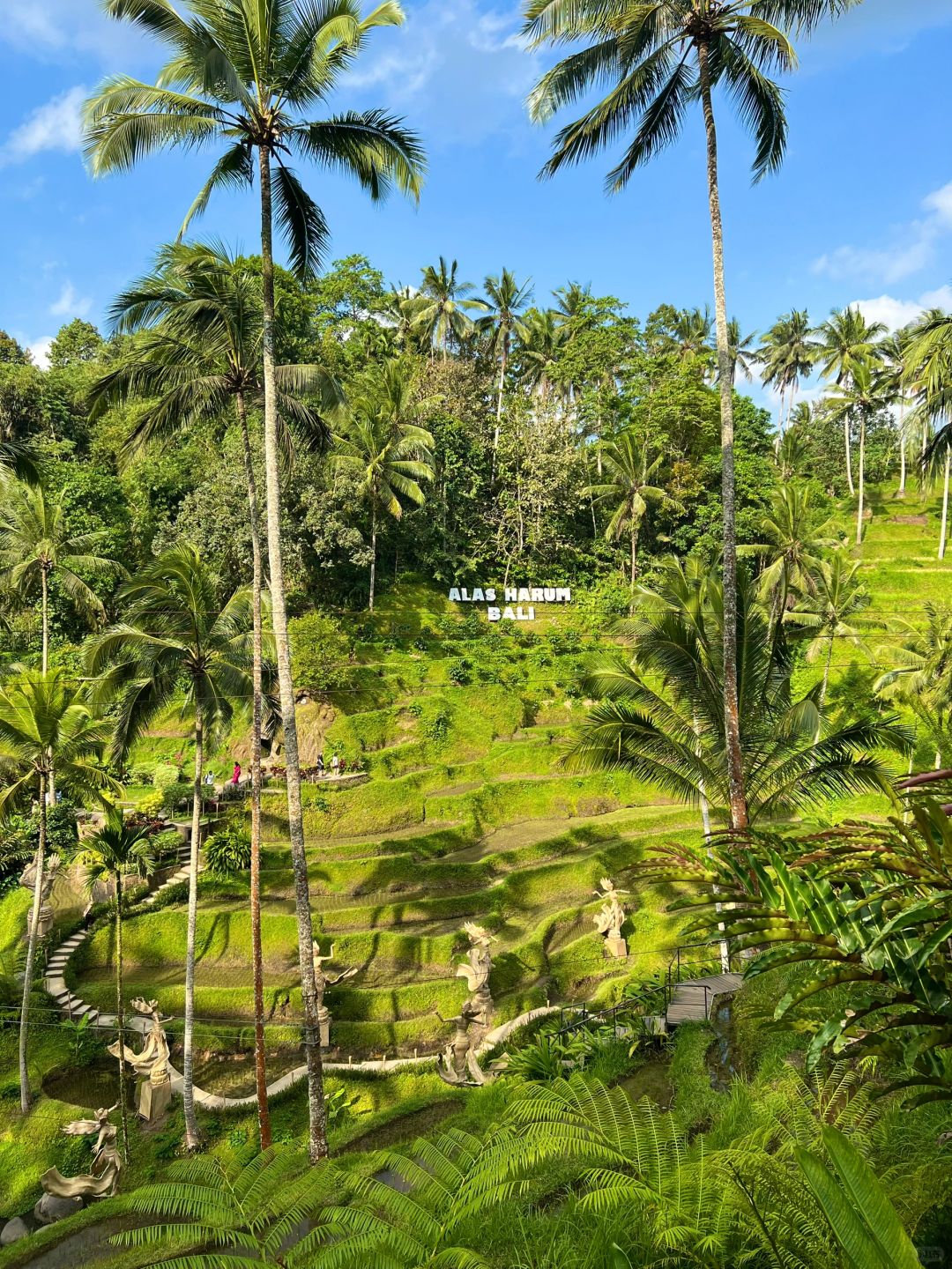 Bali-Visit Alas Harum Rainforest Swing, Zipline and Outdoor Swimming Pool in Ubud, Bali