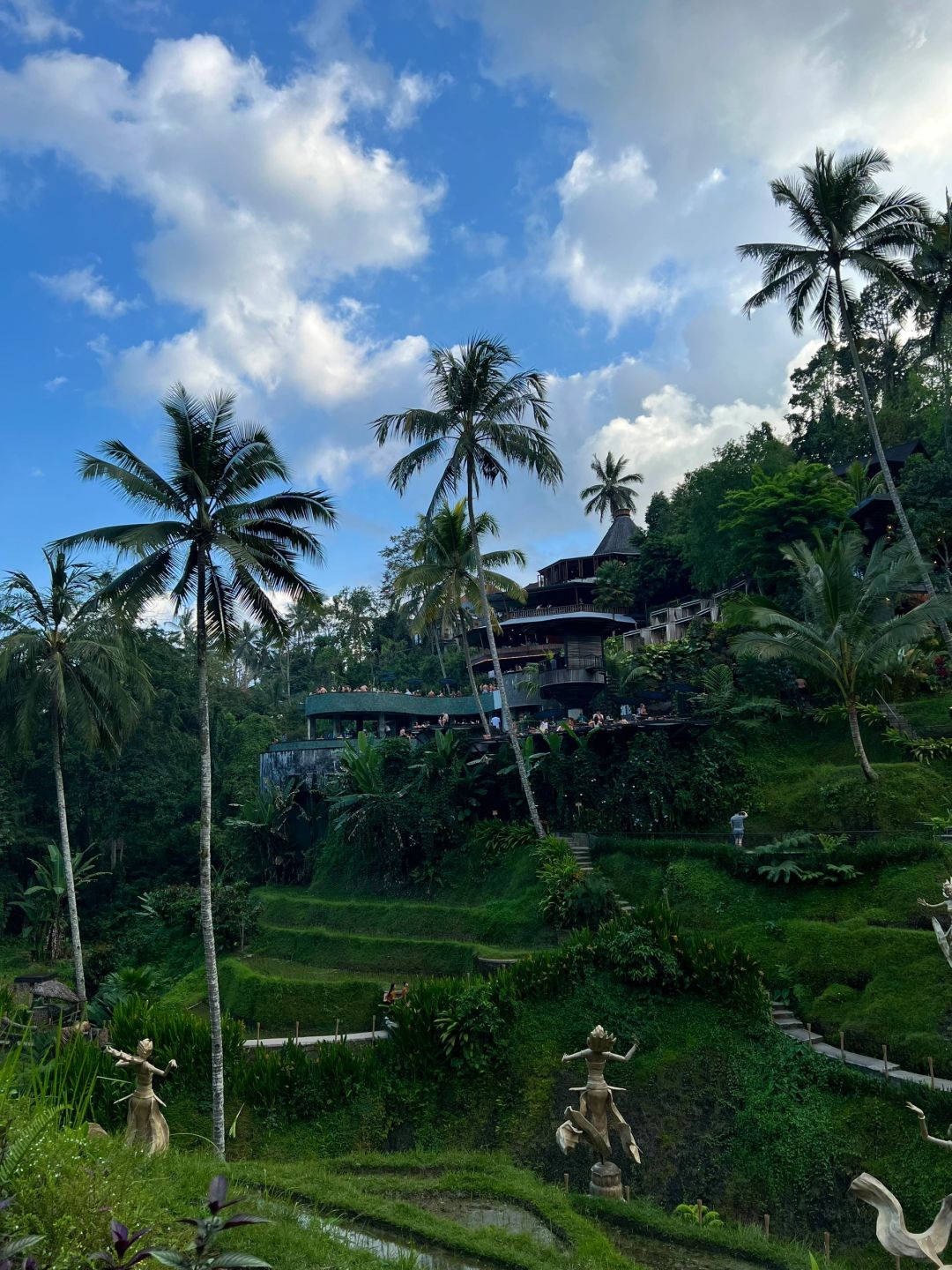 Bali-Visit Alas Harum Rainforest Swing, Zipline and Outdoor Swimming Pool in Ubud, Bali