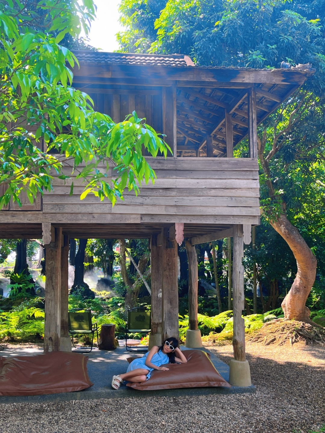 Chiang Mai-Changthong Heritage Park in Chiang Mai, there are many old trees, it feels like being forest