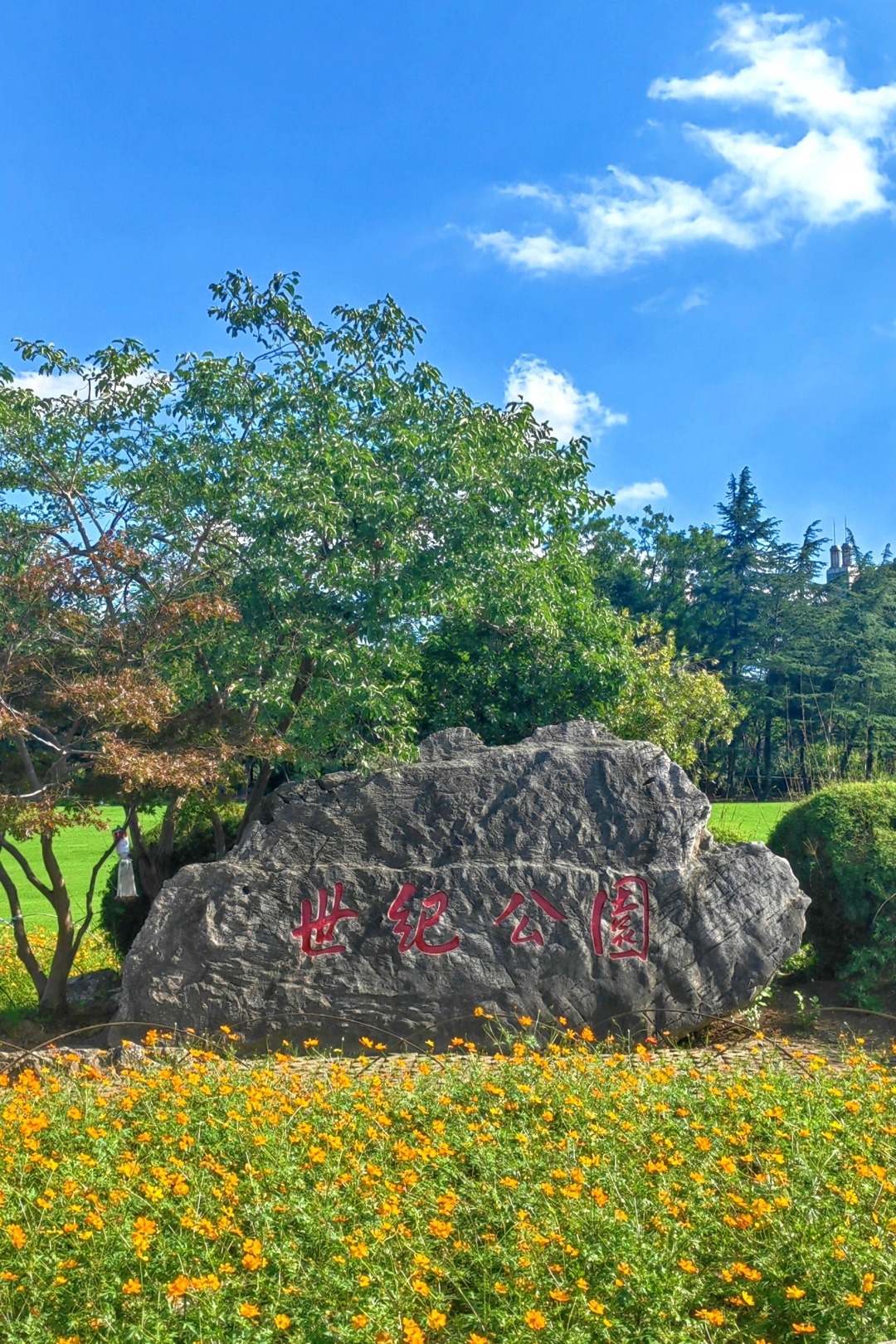 Shanghai/Hangzhou-Shanghai Century Park, it is an oasis in the metropolis!