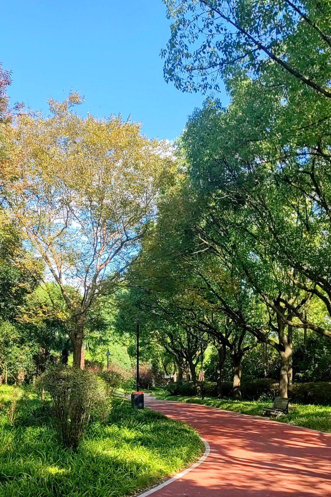 Shanghai/Hangzhou-Shanghai Century Park, it is an oasis in the metropolis!