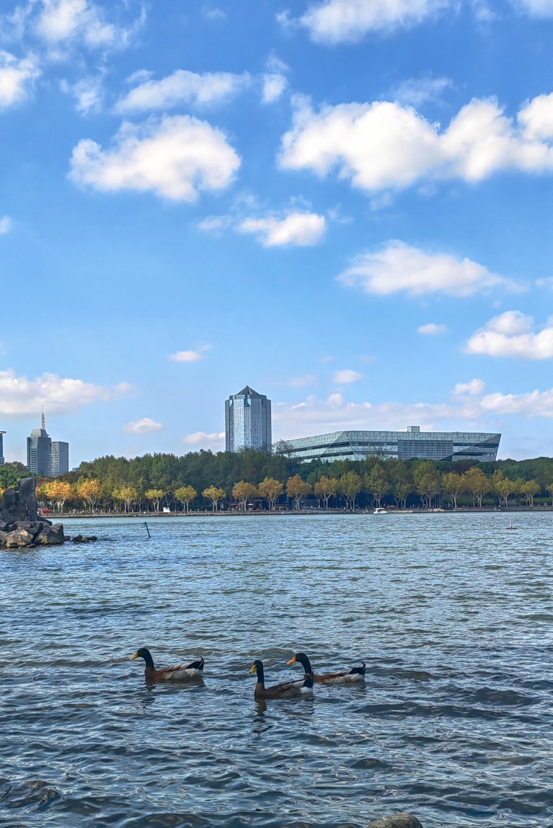 Shanghai/Hangzhou-Shanghai Century Park, it is an oasis in the metropolis!