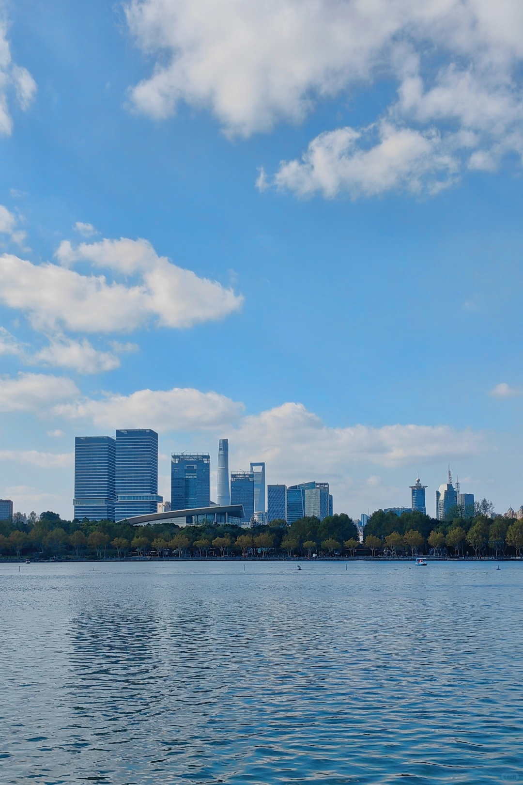 Shanghai/Hangzhou-Shanghai Century Park, it is an oasis in the metropolis!