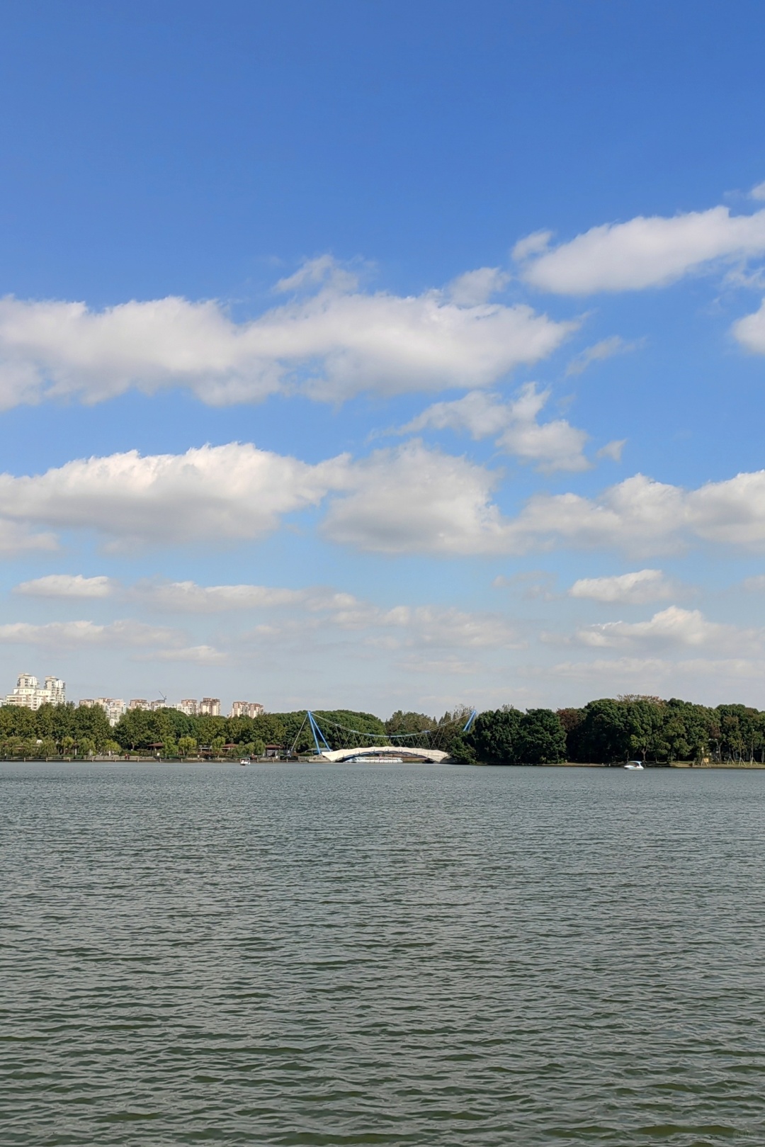 Shanghai/Hangzhou-Shanghai Century Park, it is an oasis in the metropolis!