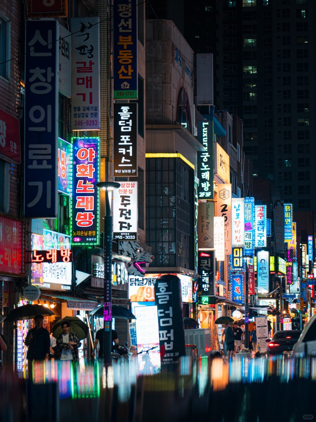 Busan/Jeju-My view of Busan nightlife in South Korea, 🌃International Market Pedestrian Street