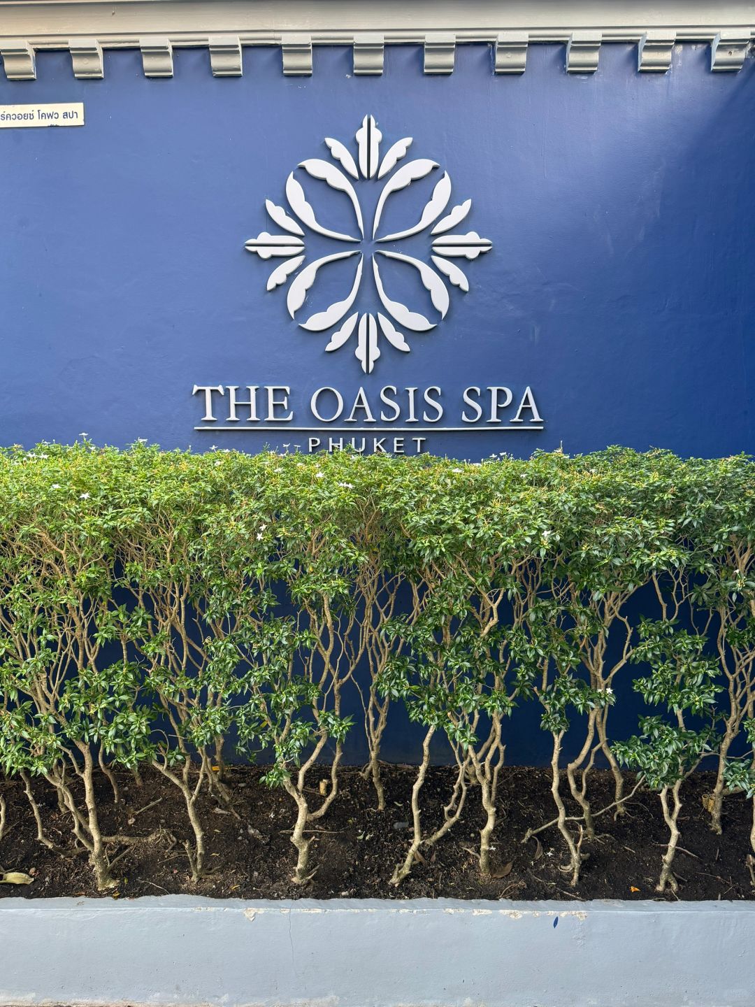 Phuket-The Oasis Spa in Phuket, Thailand, experience hot oil massage and Thai body massage