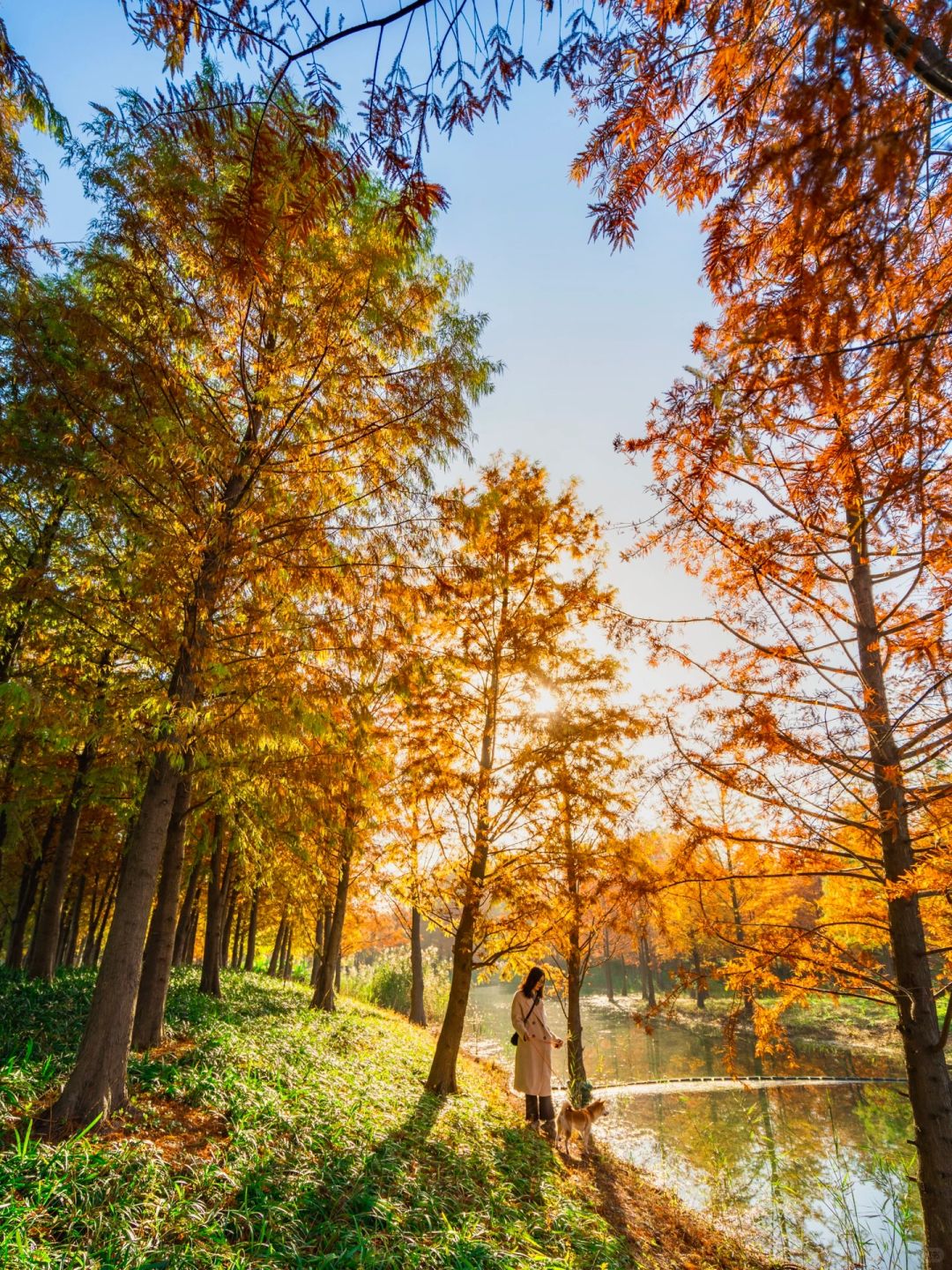 Shanghai/Hangzhou-Shanghai Sanlin Park, although beautiful, currently has no facilities open!