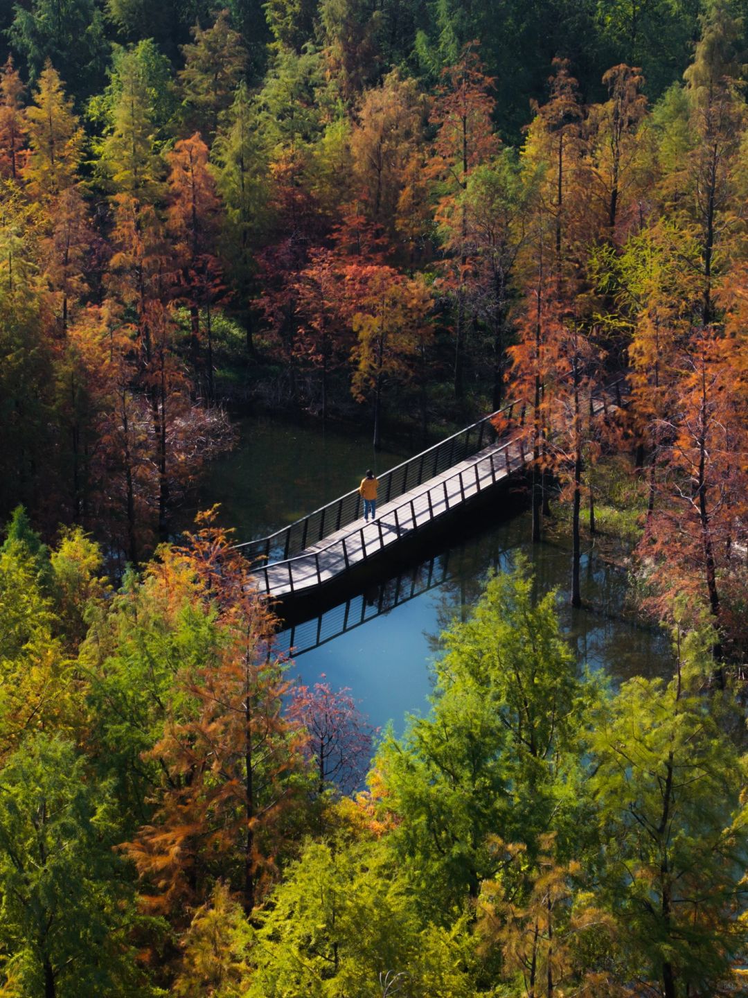 Shanghai/Hangzhou-Shanghai Sanlin Park, although beautiful, currently has no facilities open!