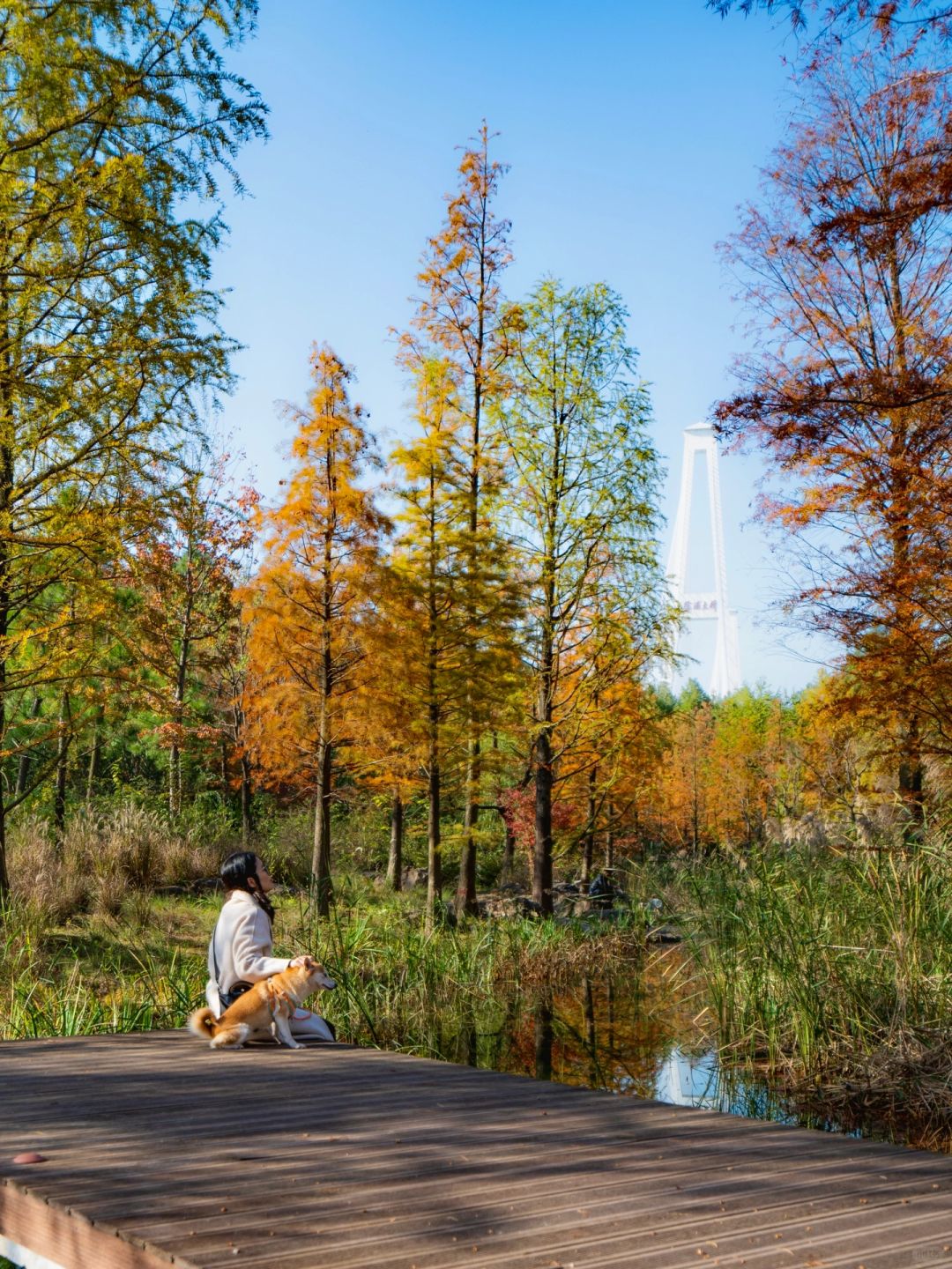 Shanghai/Hangzhou-Shanghai Sanlin Park, although beautiful, currently has no facilities open!