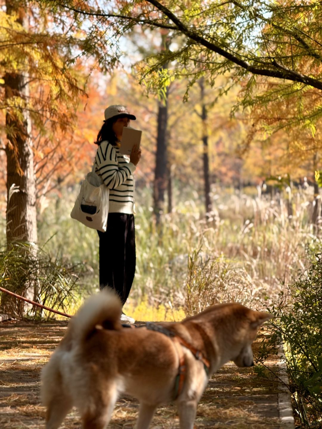 Shanghai/Hangzhou-Shanghai Sanlin Park, although beautiful, currently has no facilities open!