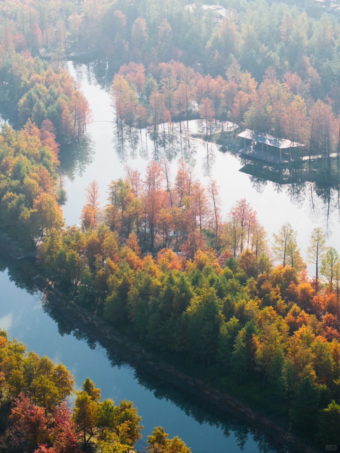 Shanghai/Hangzhou-Shanghai Sanlin Park, although beautiful, currently has no facilities open!