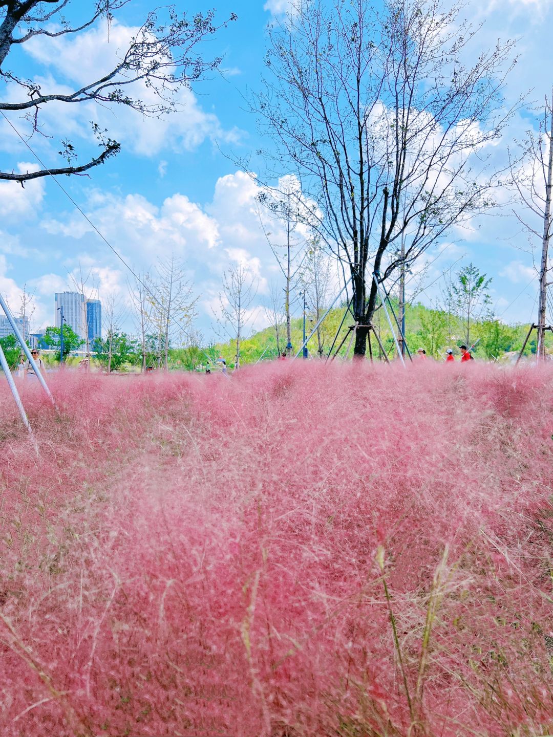 Shanghai/Hangzhou-Shanghai World Expo Park, I have never seen a city build such a large park in the city center!