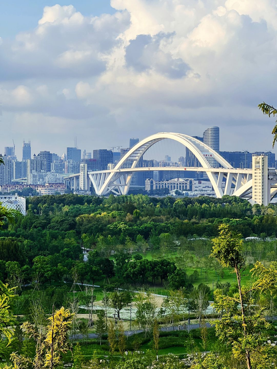 Shanghai World Expo Park , I have never seen a city build such a large ...