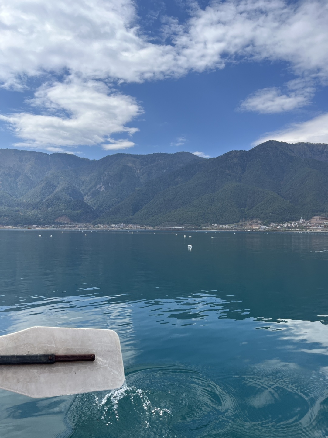 Chengdu/Chongqing-Lugu Lake in Yunnan, if you want to see the sea of flowers, you must choose the right season!