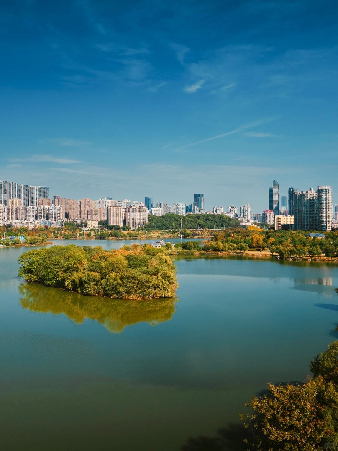 Changsha-In Changsha West Lake Park, golden leaves cover the path, as if nature has laid a golden carpet for us!