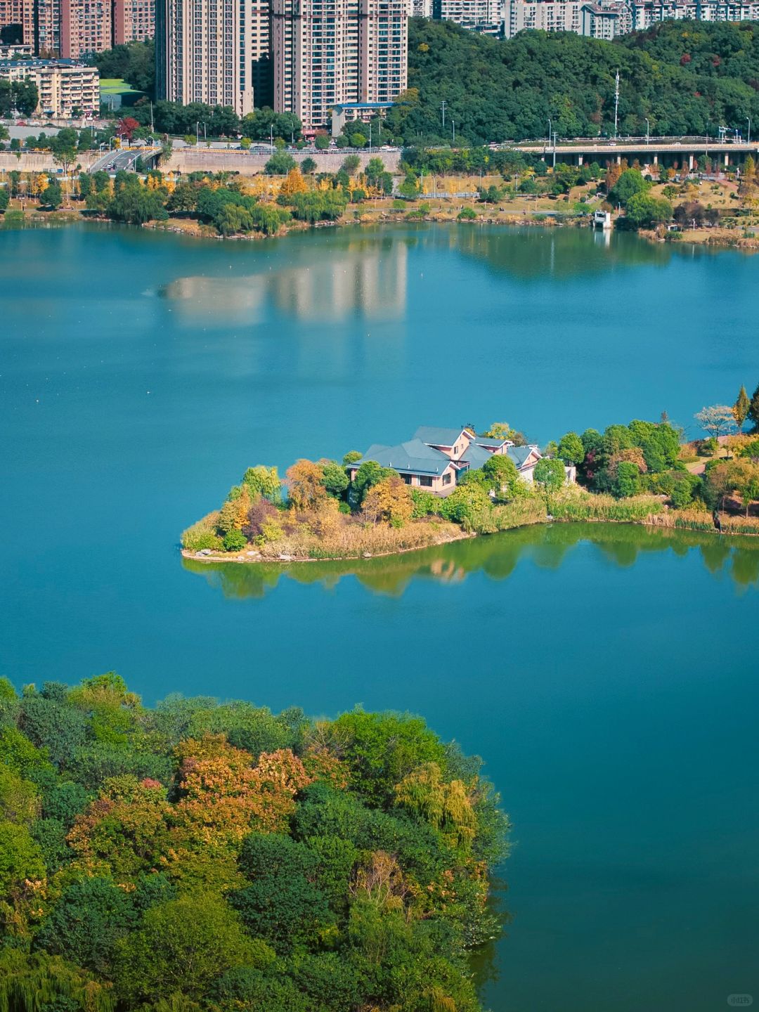 Changsha-In Changsha West Lake Park, golden leaves cover the path, as if nature has laid a golden carpet for us!