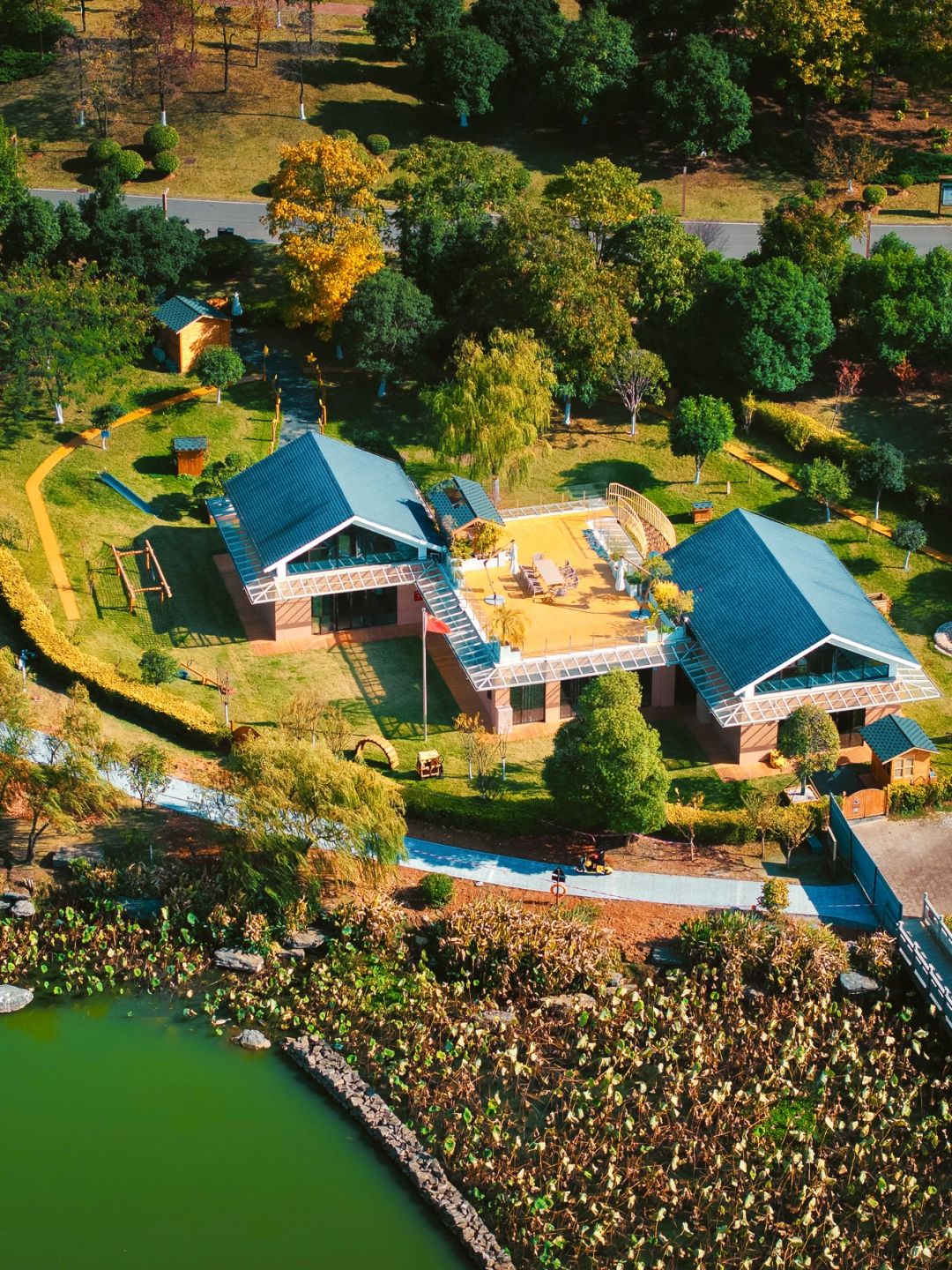 Changsha-In Changsha West Lake Park, golden leaves cover the path, as if nature has laid a golden carpet for us!