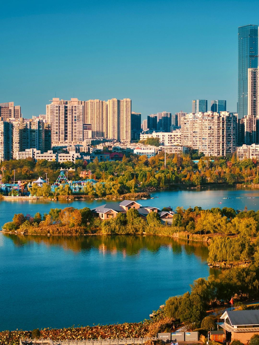 Changsha-In Changsha West Lake Park, golden leaves cover the path, as if nature has laid a golden carpet for us!